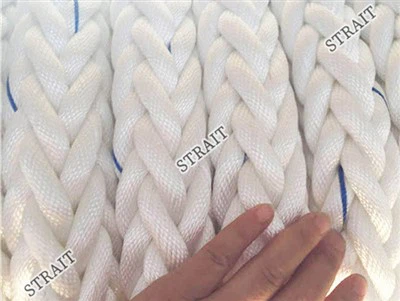 Dây sợi polyester